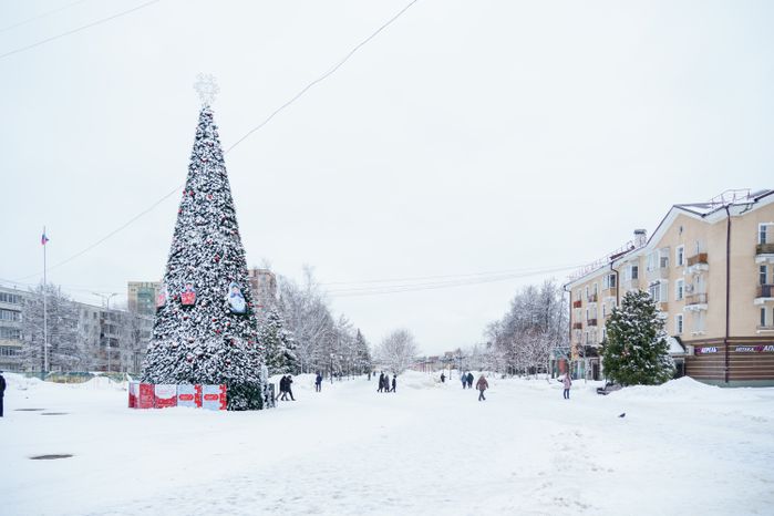 Зимние виды Лосино-Петровского