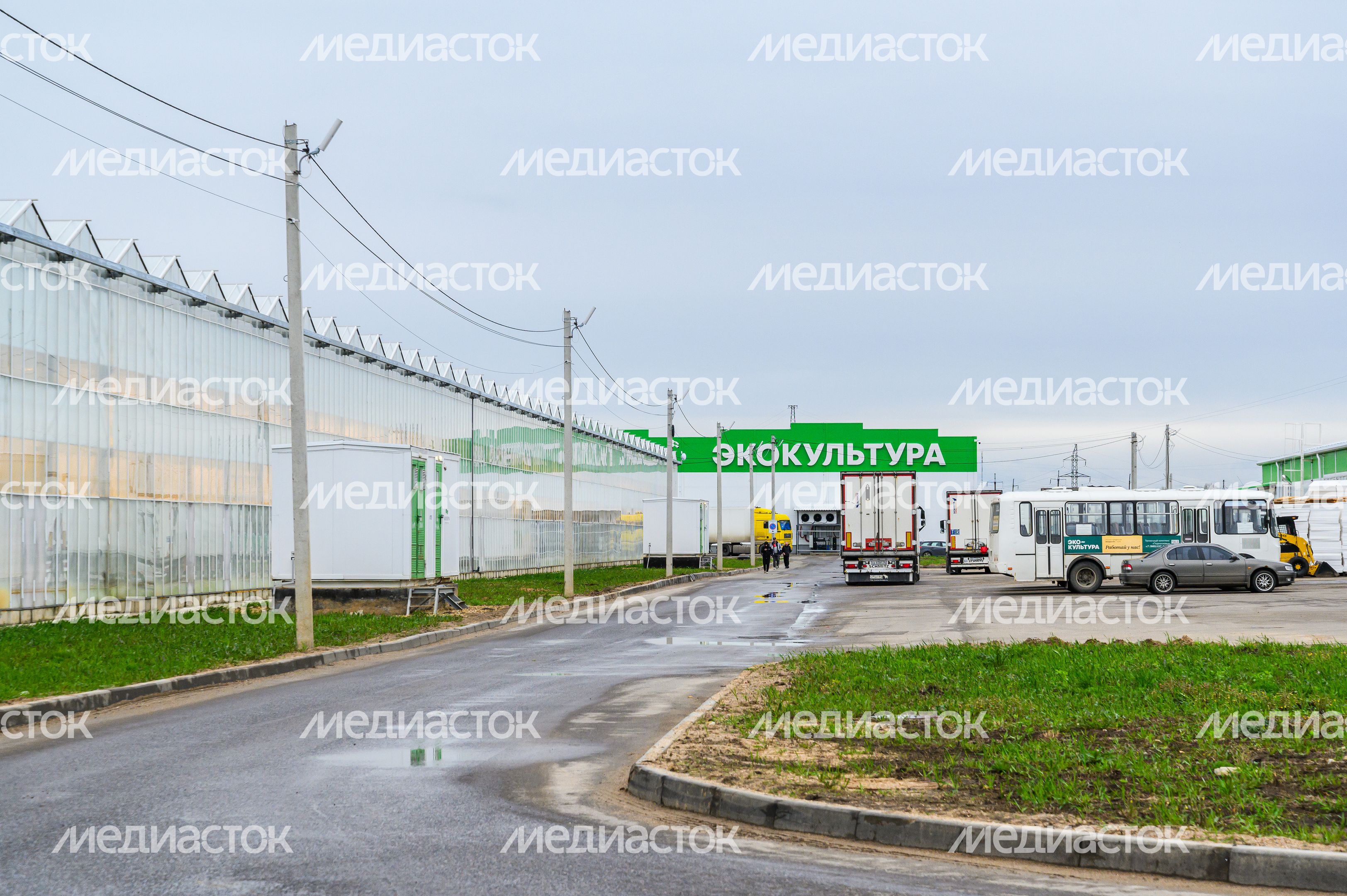 Тепличный комплекс «Подмосковье» в городском округе Воскресенск Тепличный комплекс «Подмосковье» в городском округе Воскресенск