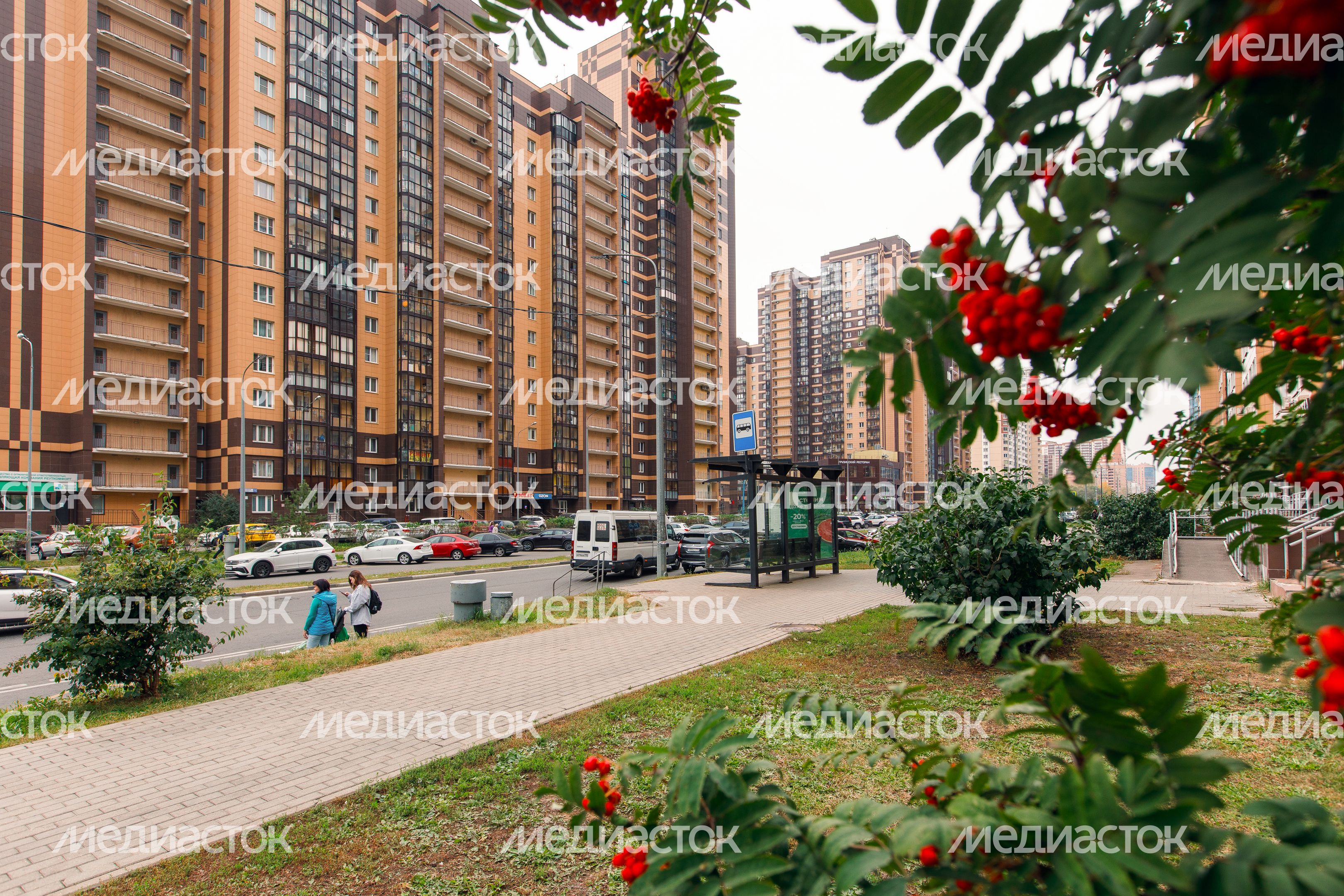 Реутов. Юбилейный проспект Реутов. Юбилейный проспект