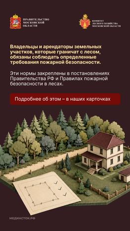 Живете рядом с лесом вертикаль 02