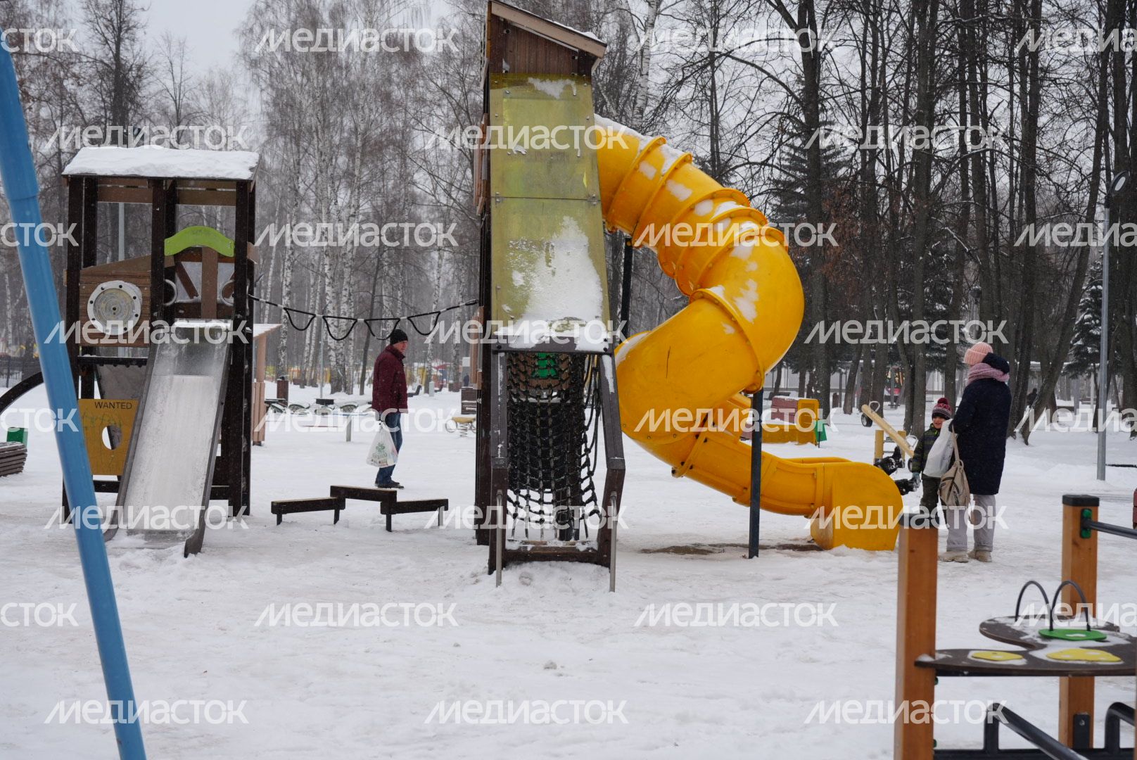 Проверка Губернатором Центрального парка культуры и отдыха в Пушкино
