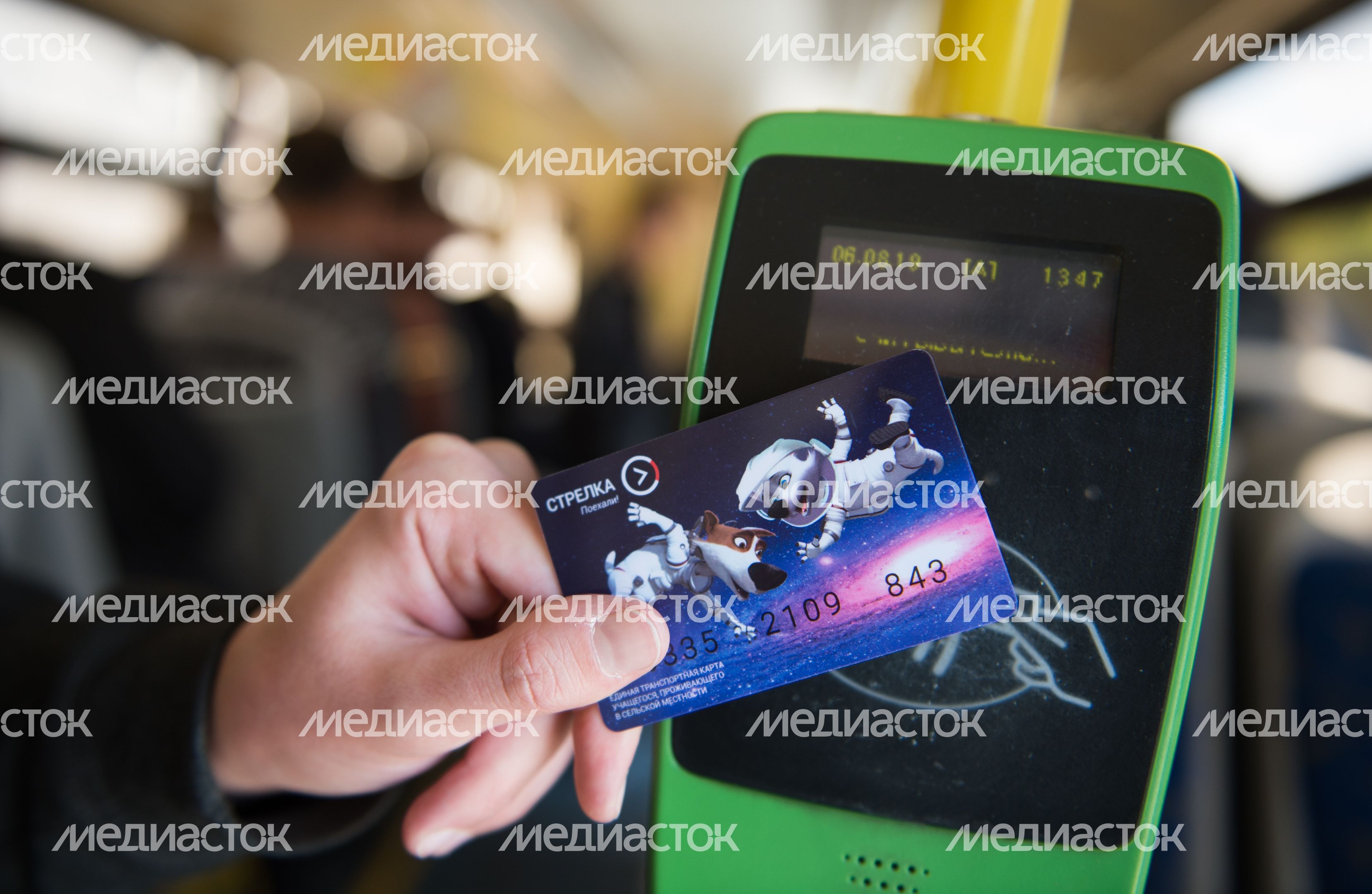 Презентация транспортных карт с героями мультфильма «Белка и Стрелка»