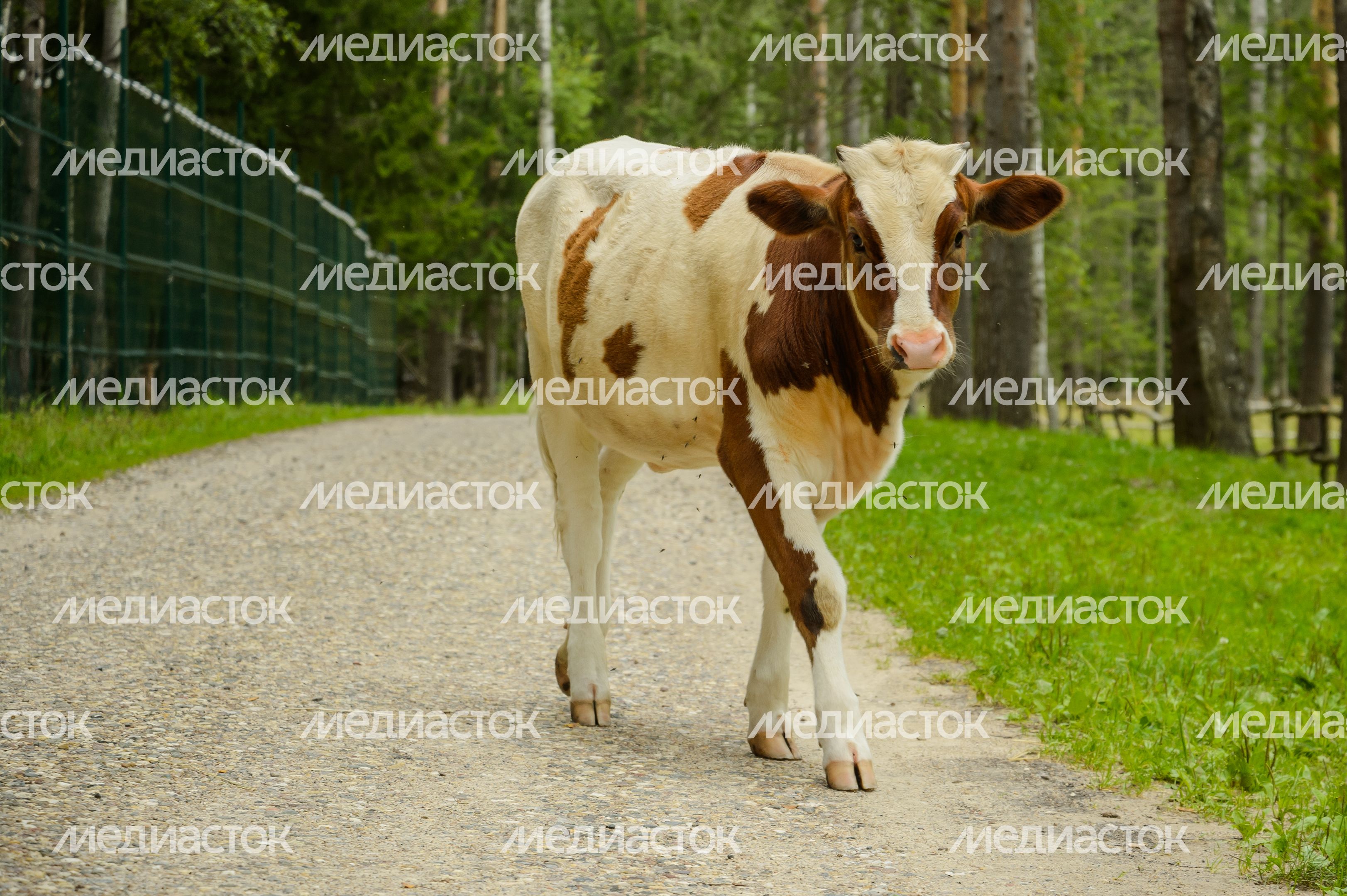 Усадьба Веретьево