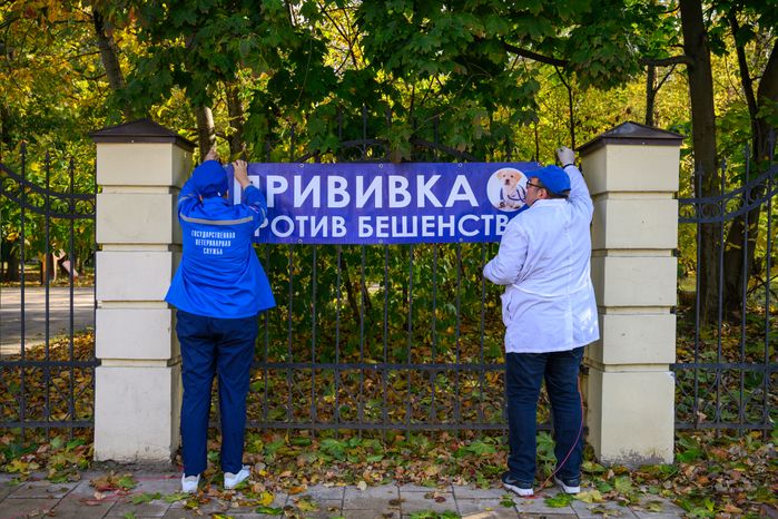 Выездная вакцинация животных в балашихинском парке "Пехорка"