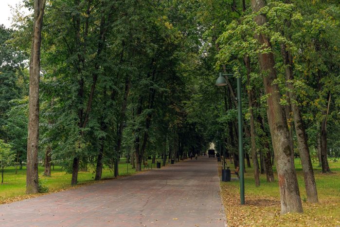 Щелковский центральный городской парк после благоустройства