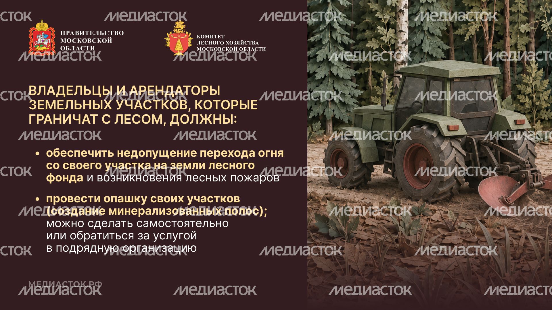 Живете рядом с лесом горизонталь 03
