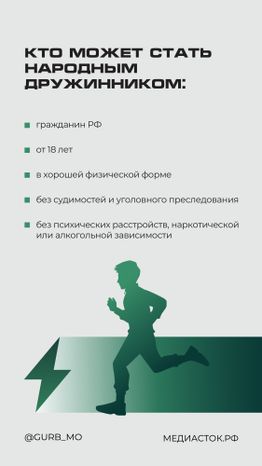 Народные дружины вертикаль 08