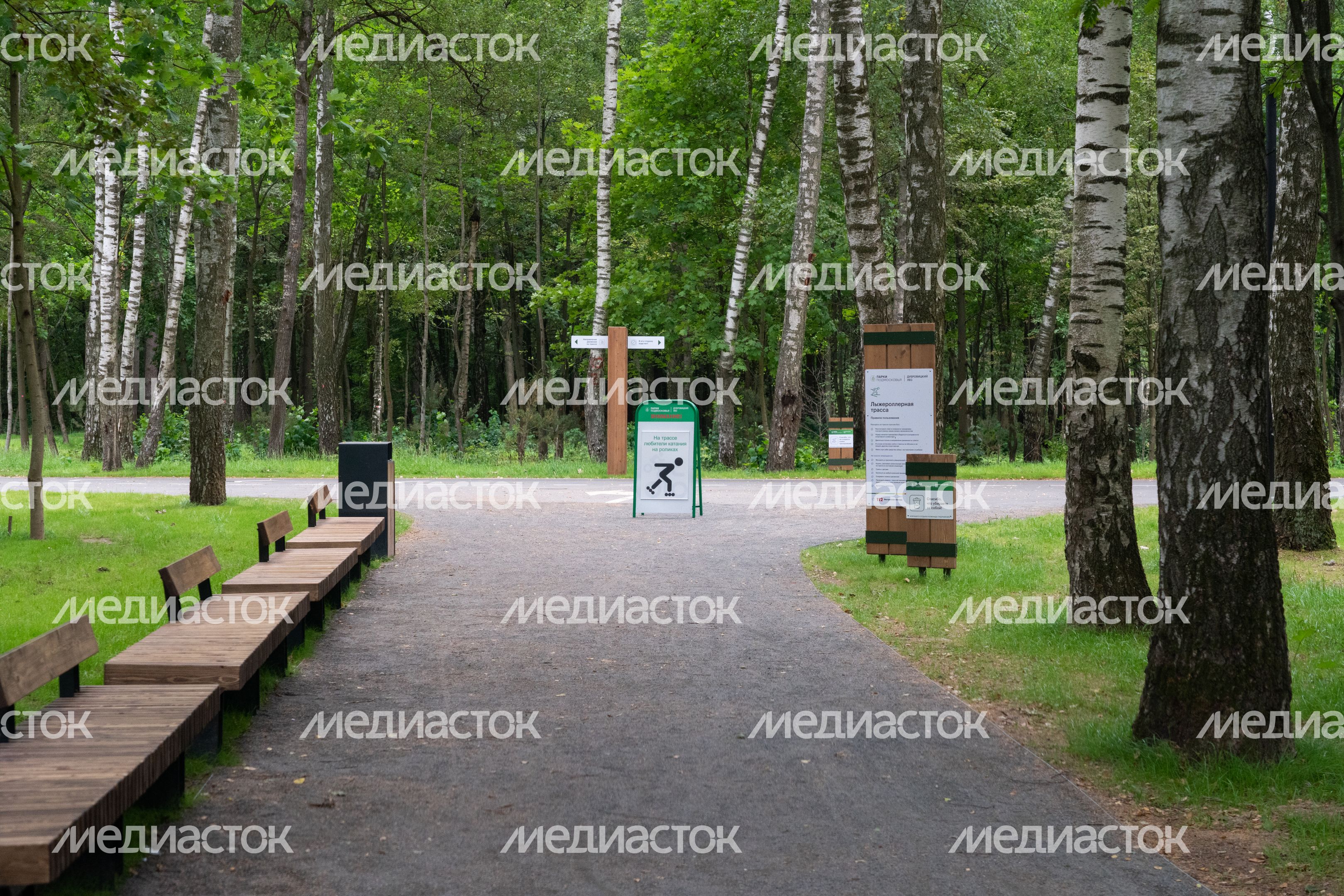 Подольск. Парк «Дубровицкий лес» Подольск. Парк «Дубровицкий лес»