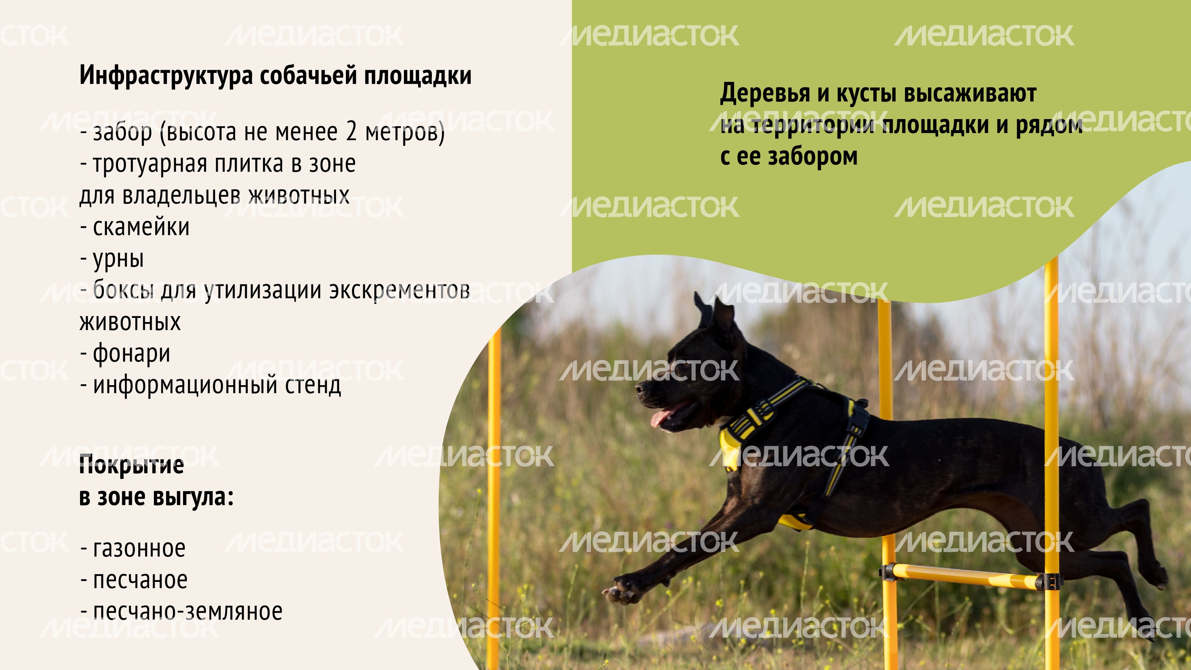 Голосование. Собачьи площадки-10.jpg