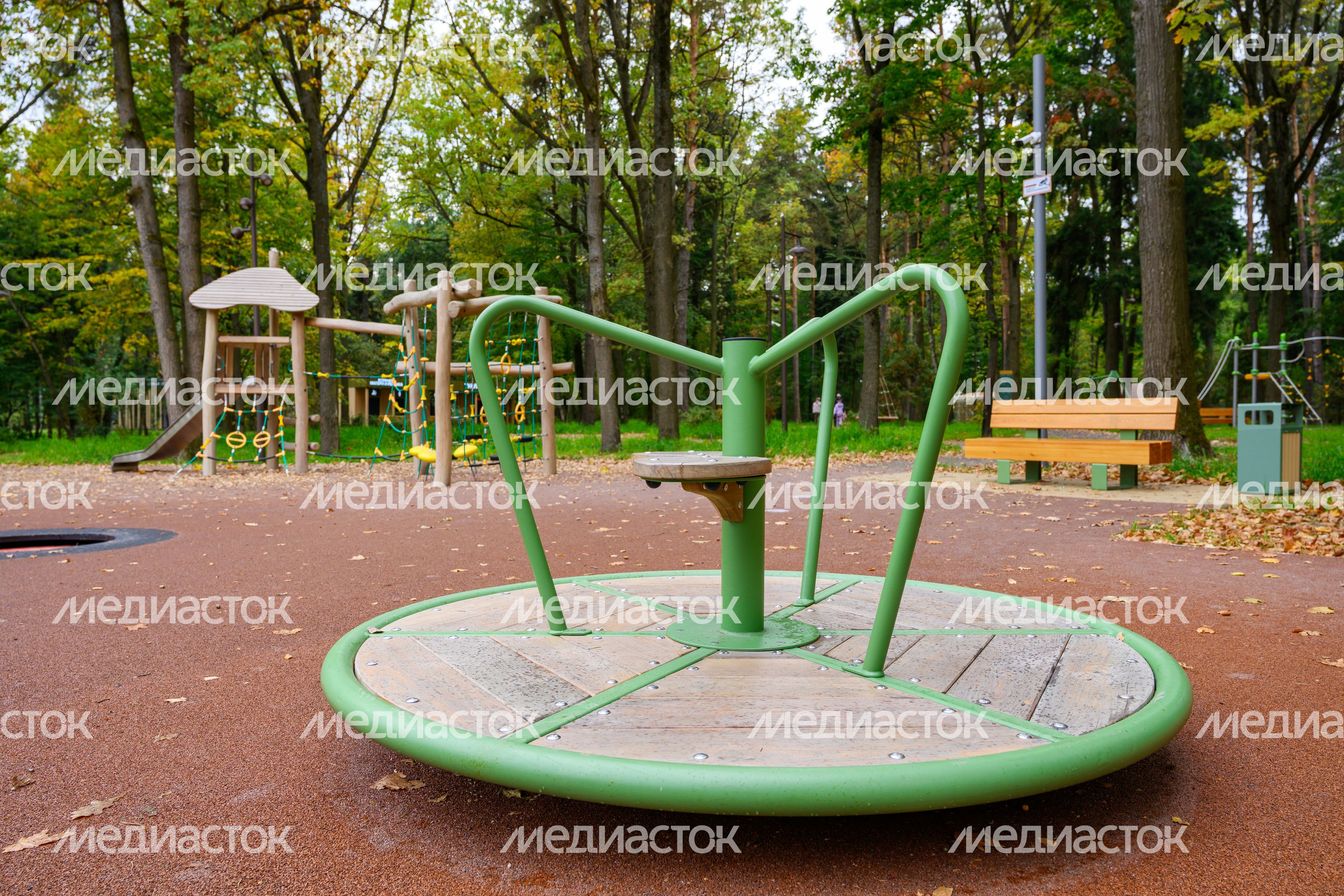 Лесопарк «Волхонка» осенью в Ногинске Богородского округа