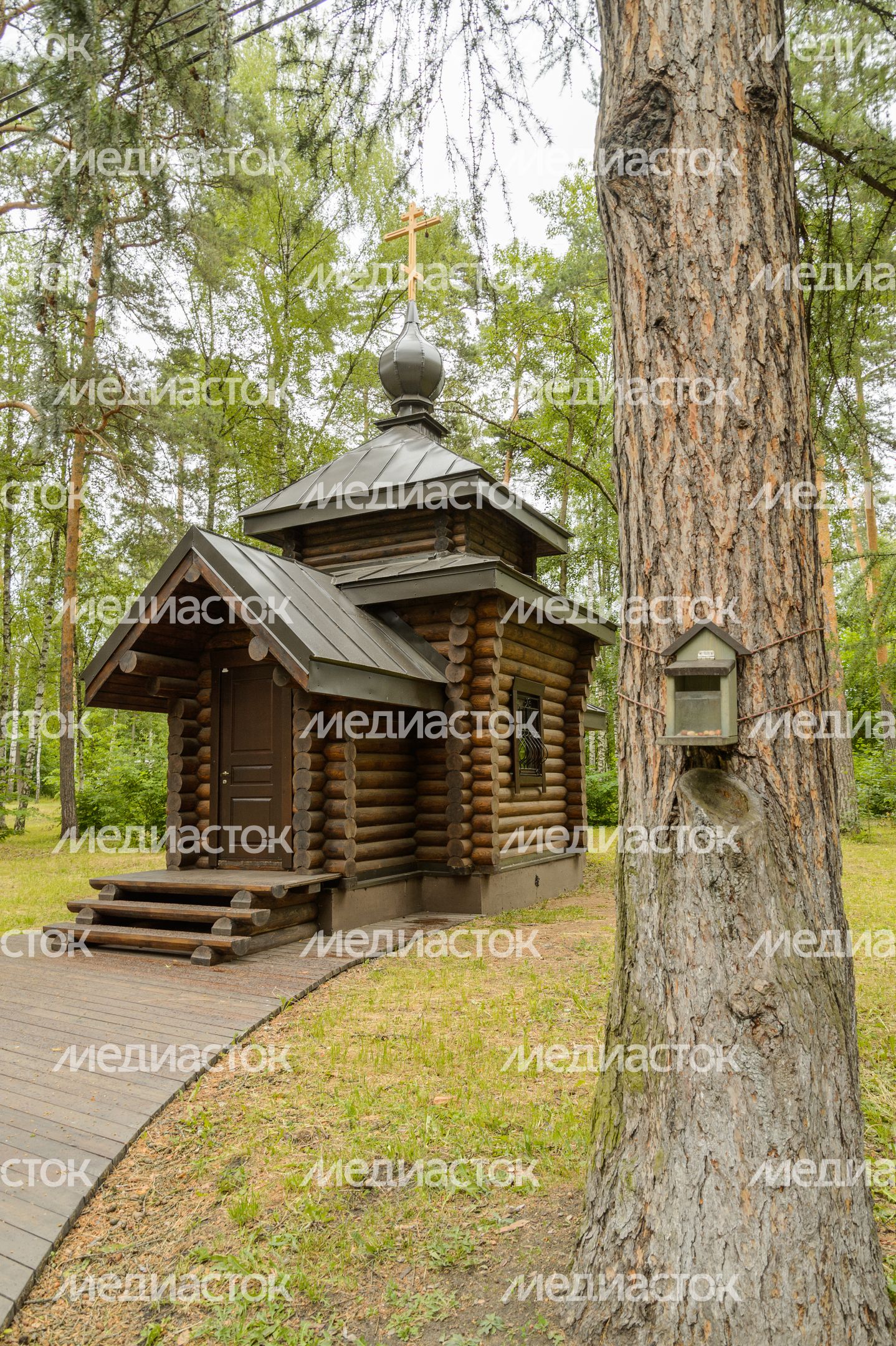Глуховский парк (Дом-музей А. И. Морозова) Глуховский парк (Дом-музей А. И. Морозова)