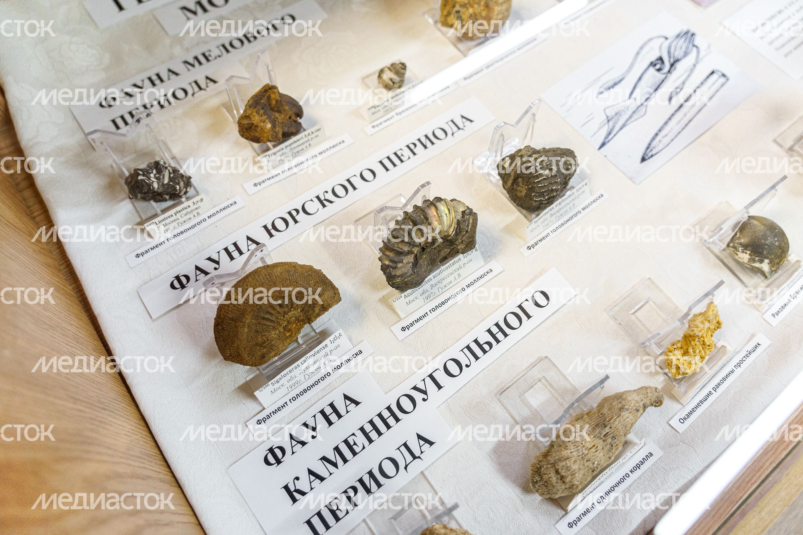 Ивантеевский историко-краеведческий музей Ивантеевский историко-краеведческий музей