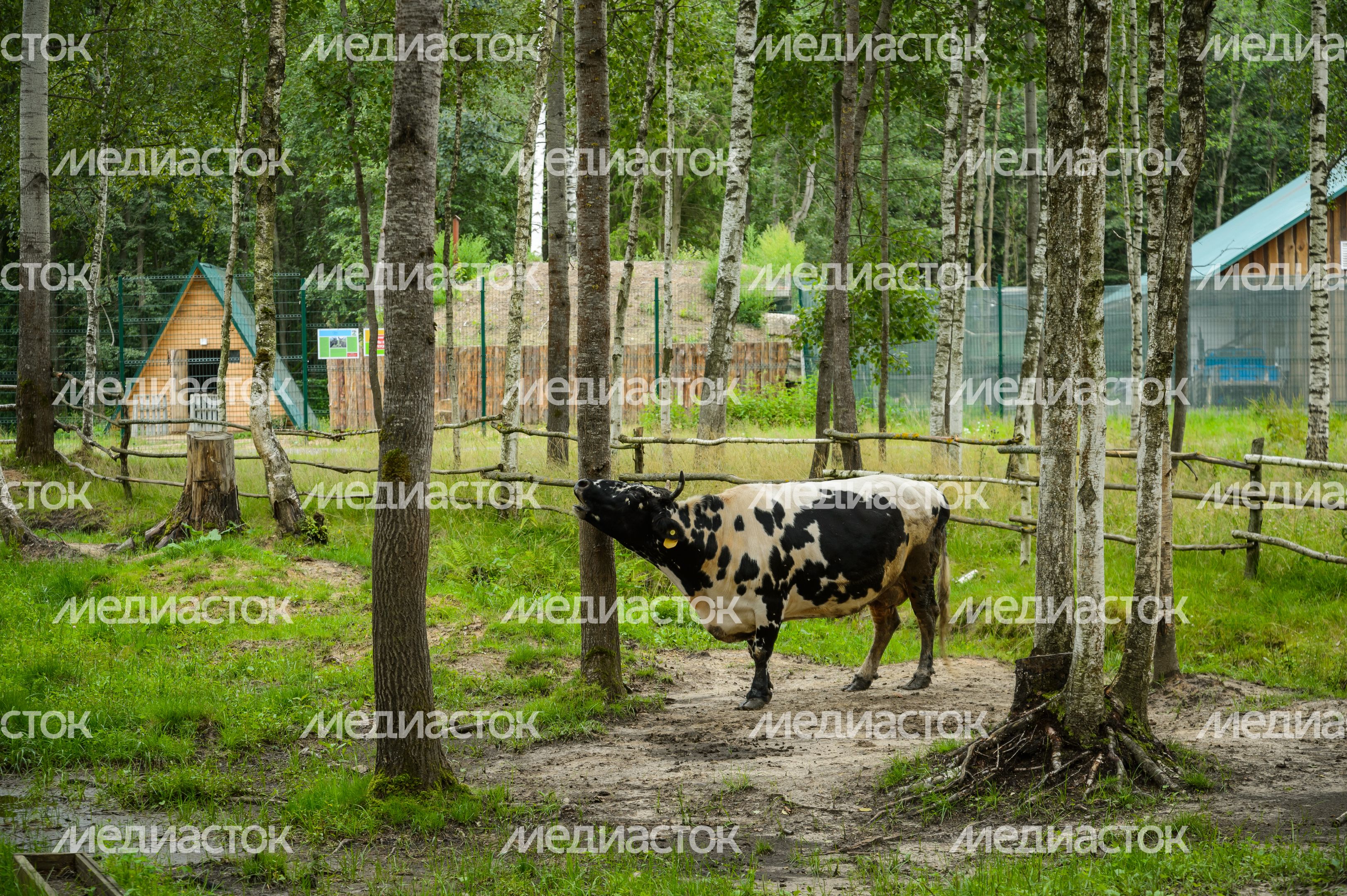 Усадьба Веретьево