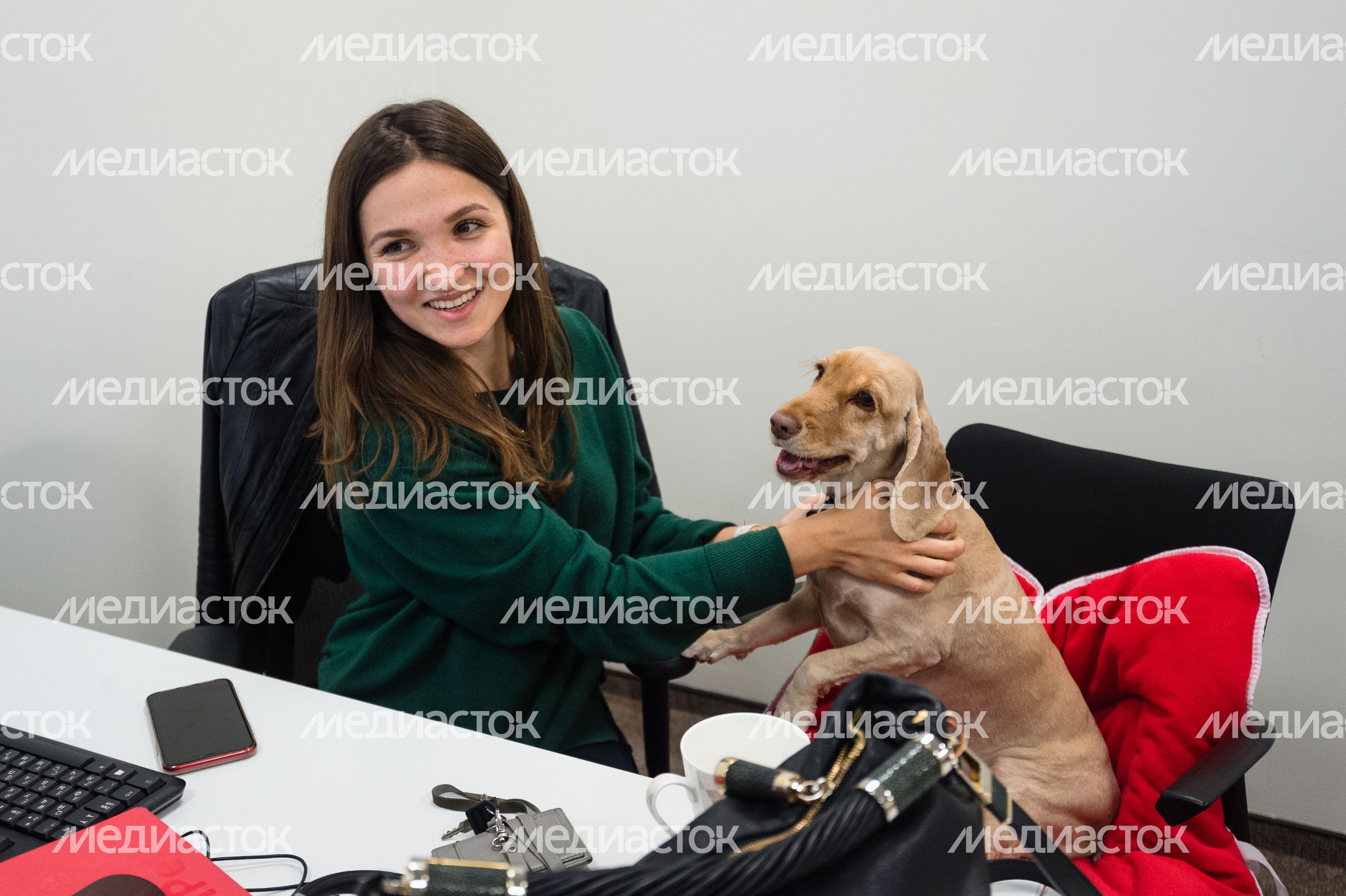Pet‑friendly офис Purina