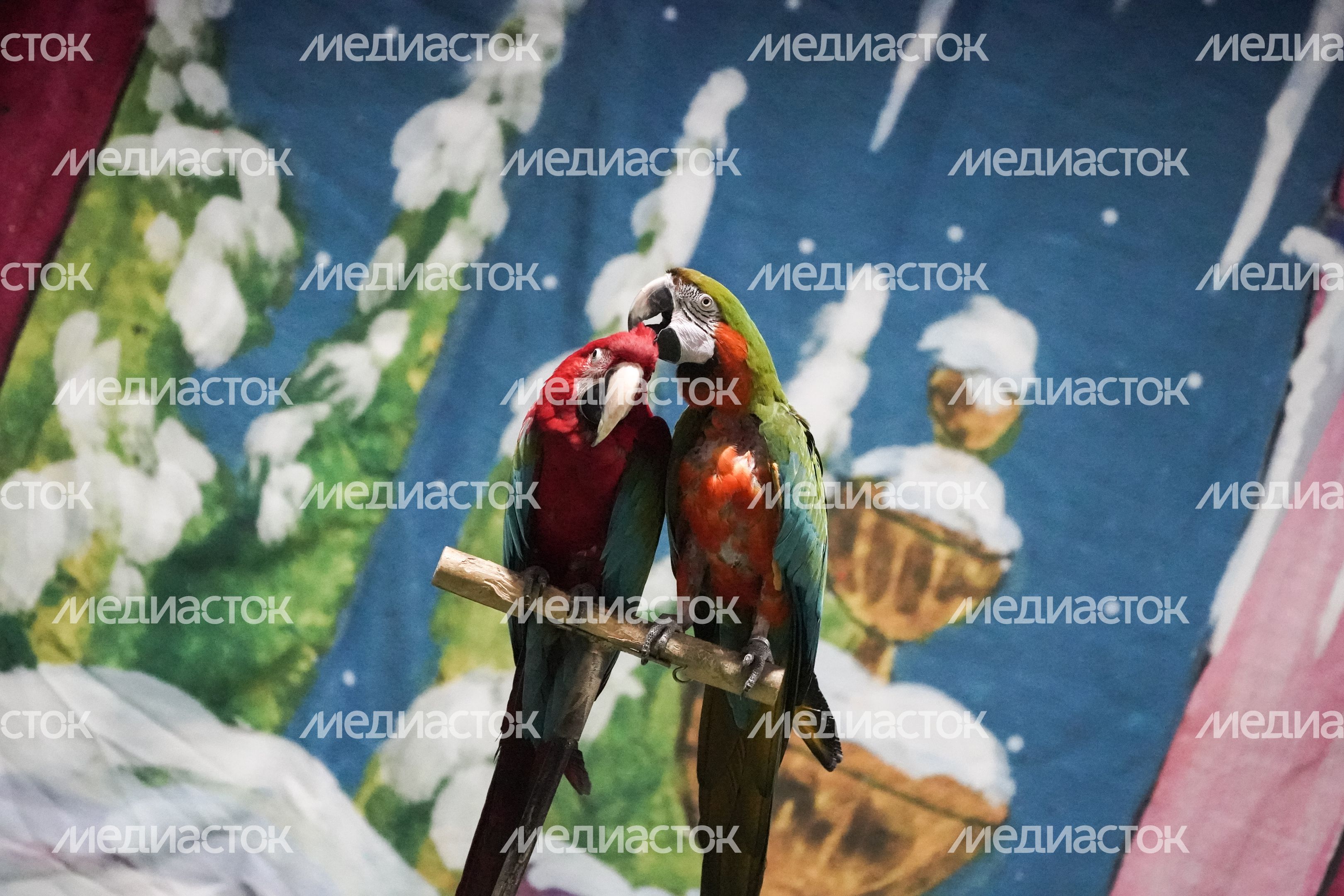 Театр «Уголок дедушки Дурова»