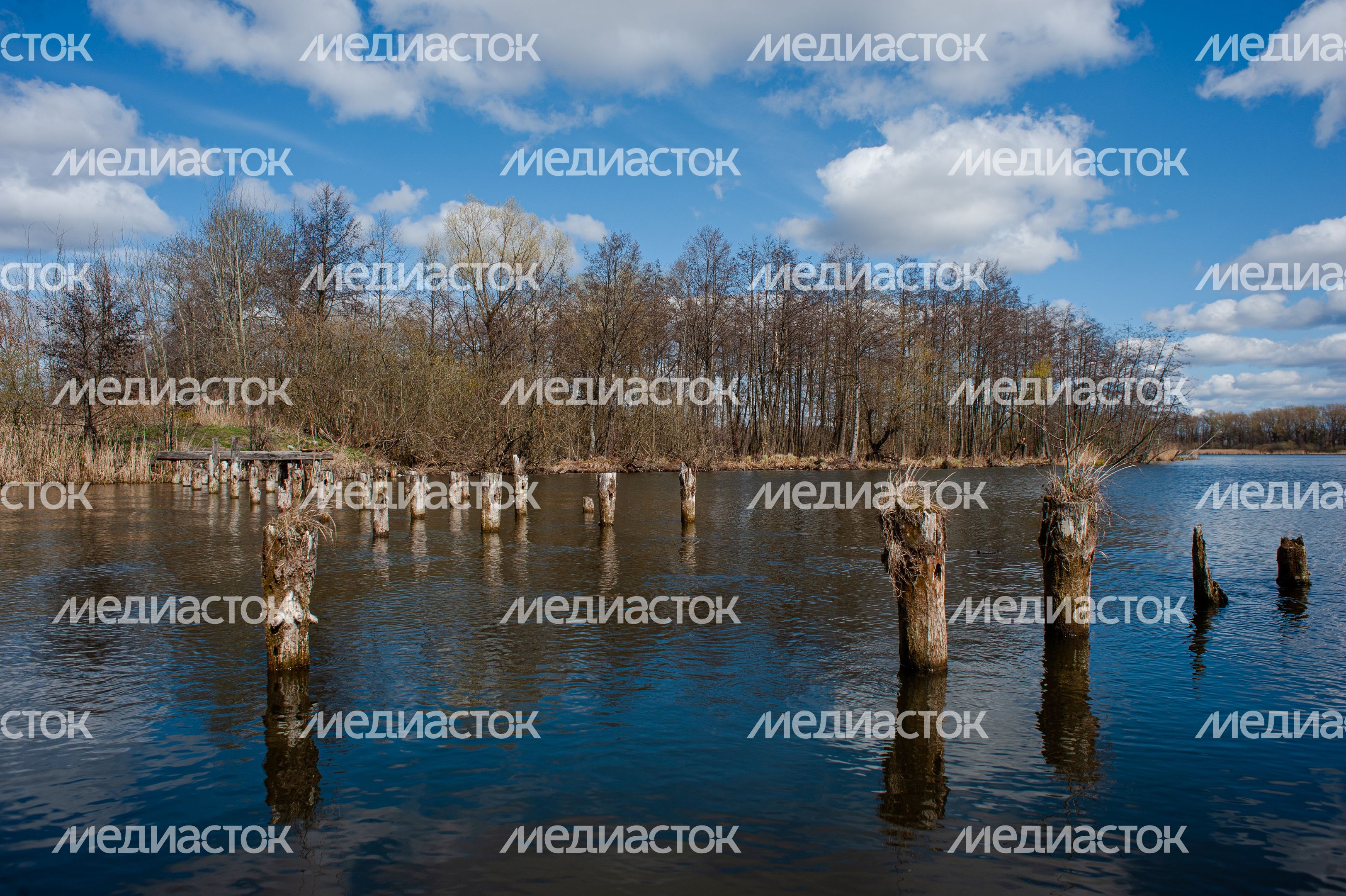 Виды города Шатура