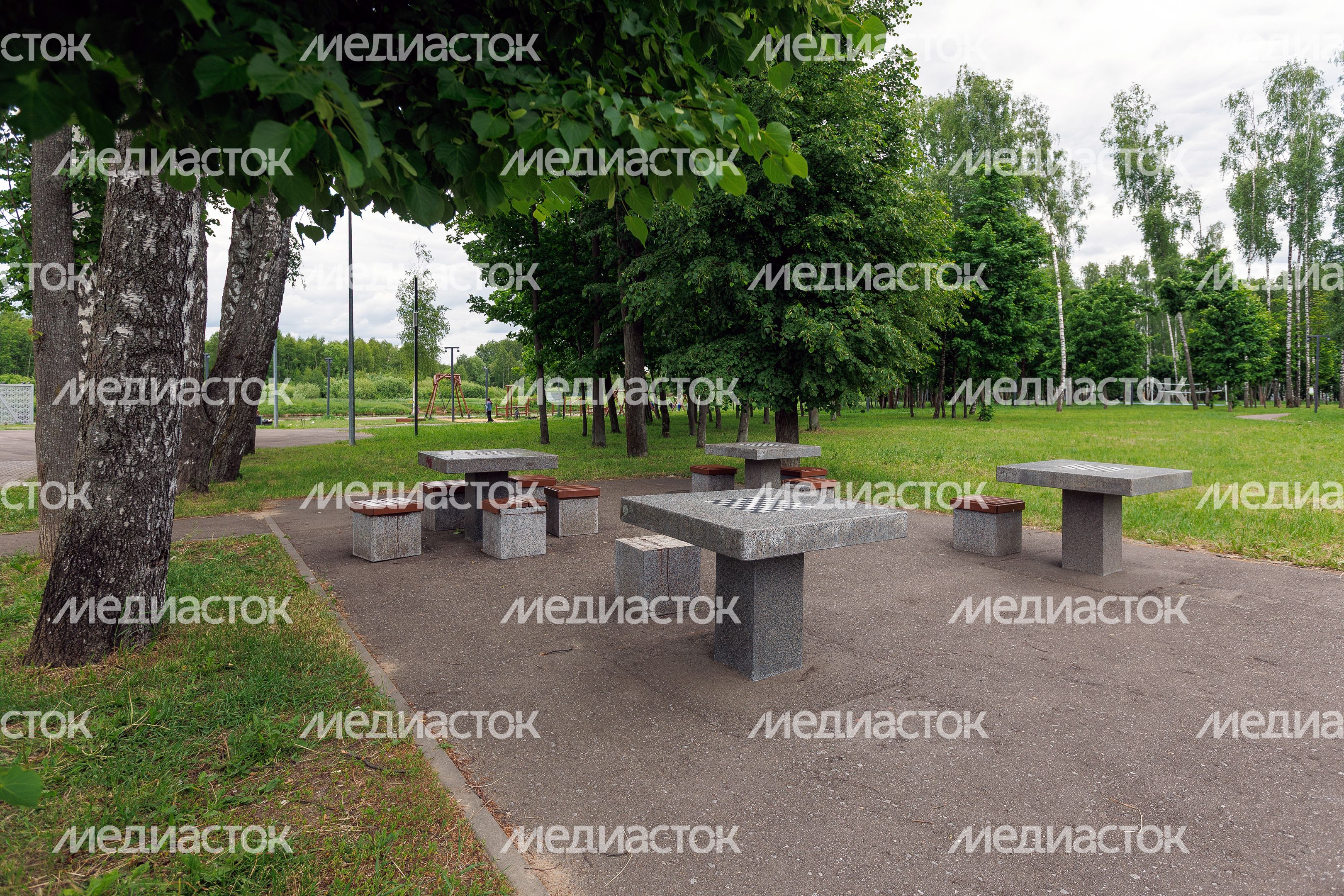Лето в Городском парке культуры отдыха в Ивантеевке Пушкинского округа Лето в Городском парке культуры отдыха в Ивантеевке Пушкинского округа