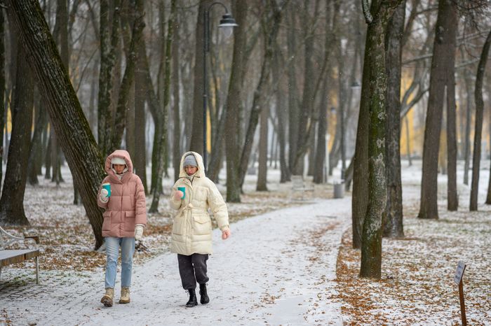 Зима в парке усадьбы Кривякино в Воскресенске