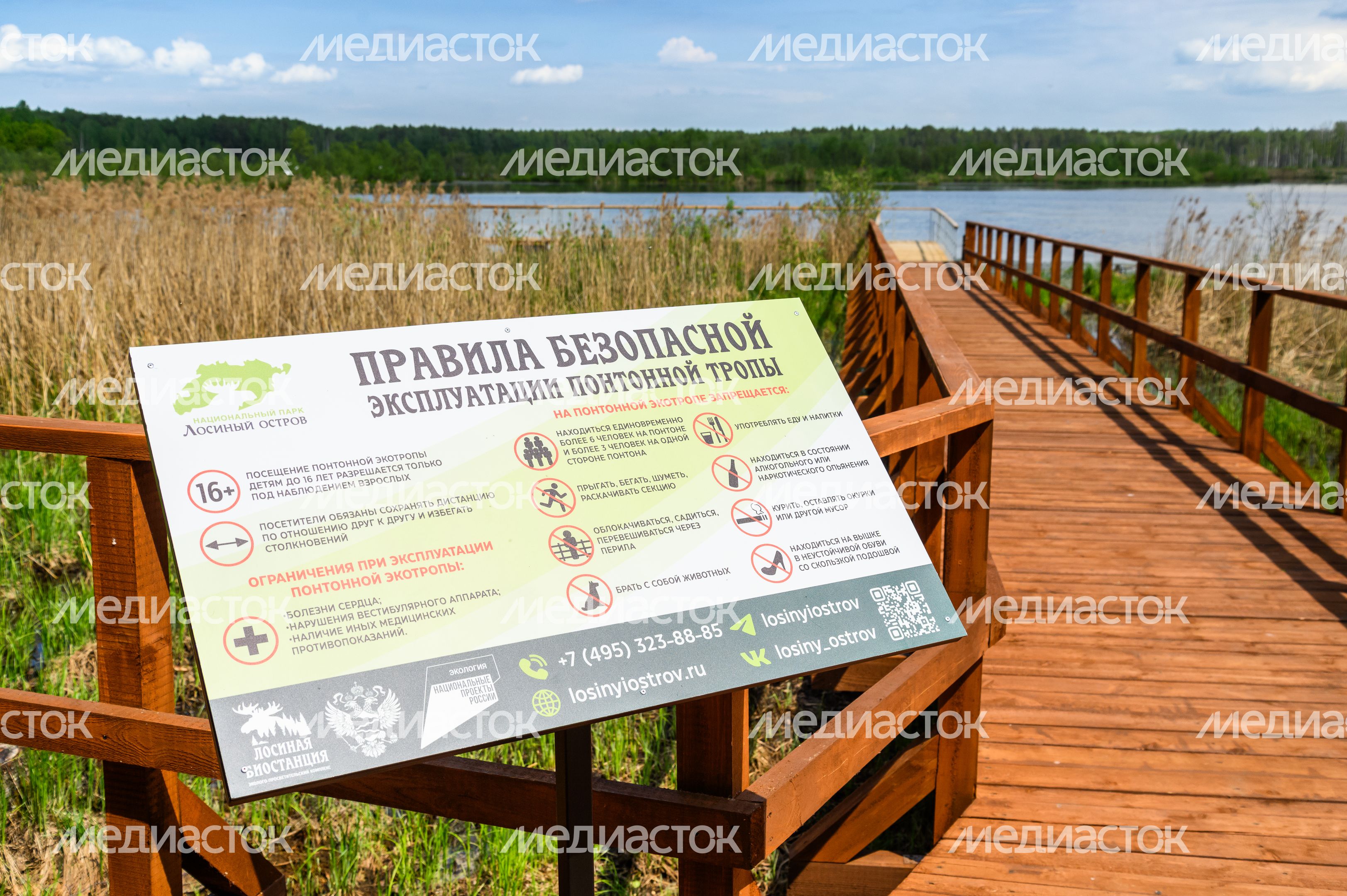 Орнитологическая тропа появилась в нацпарке «Лосиный остров» Орнитологическая тропа появилась в нацпарке «Лосиный остров»