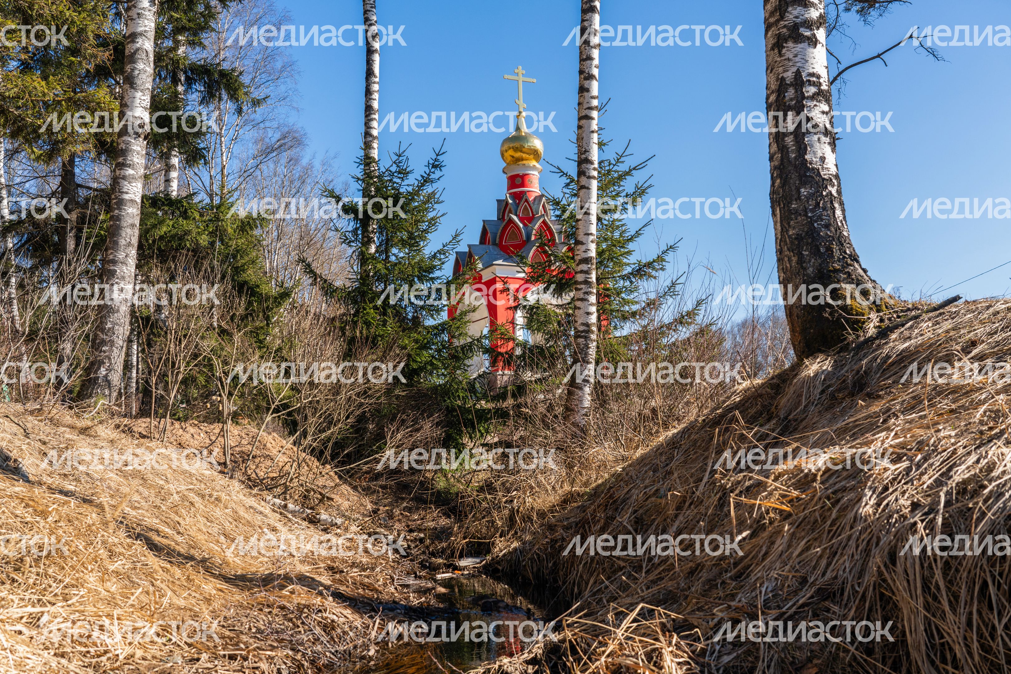 Часовня иконы Божией Матери «Живоносный источник» в Можайском округе у истока Москвы-реки Часовня иконы Божией Матери «Живоносный источник» в Можайском округе у истока Москвы-реки