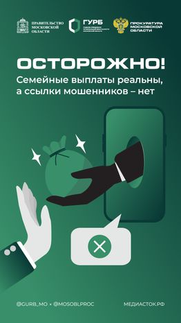 Фейковые семейные выплаты вертикаль 01