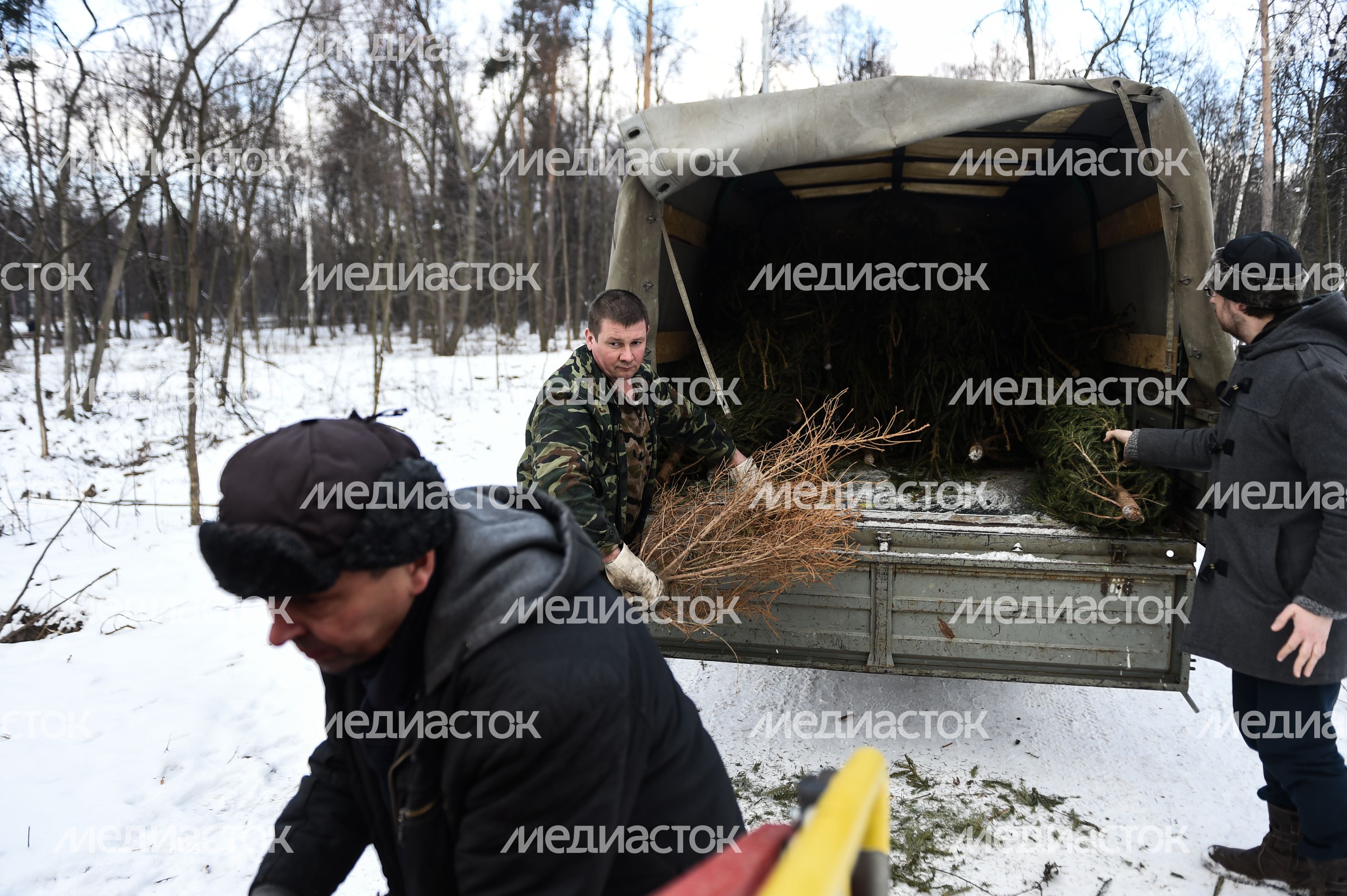 Утилизация елок после Нового года в Москве