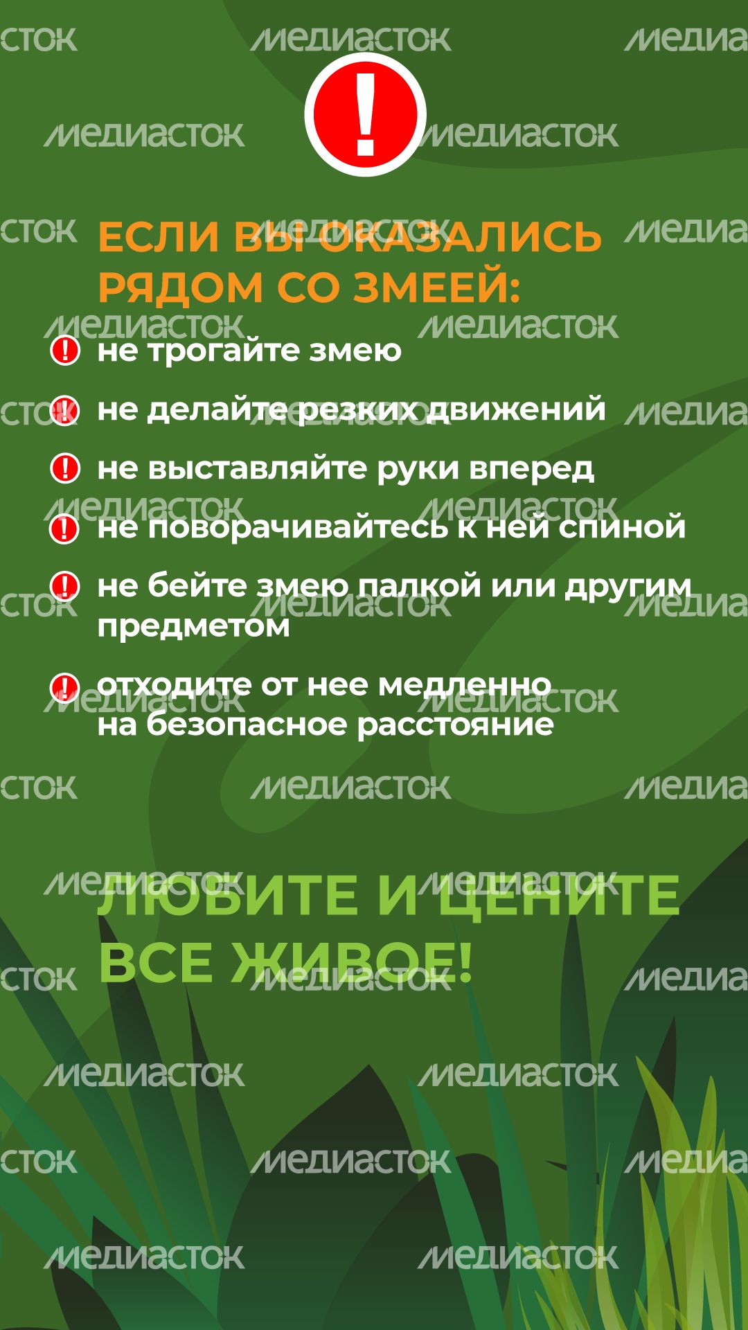 комлесхоз_змеи_верт_6
