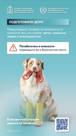 Правила поведения при подтоплении вертикаль 04