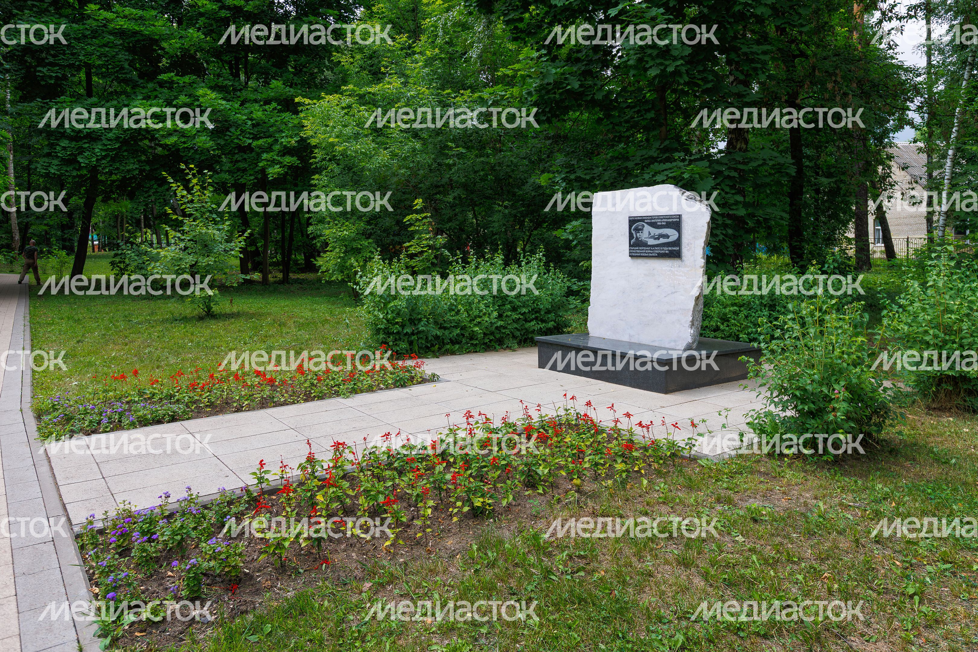 Парк Лапса в посёлке Томилино округа Люберцы Парк Лапса в посёлке Томилино округа Люберцы