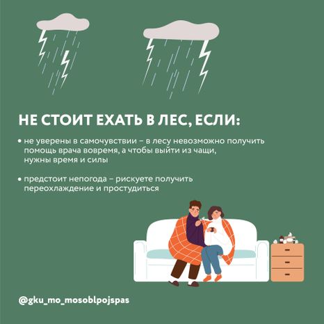 Квадрат грибы 04.jpg