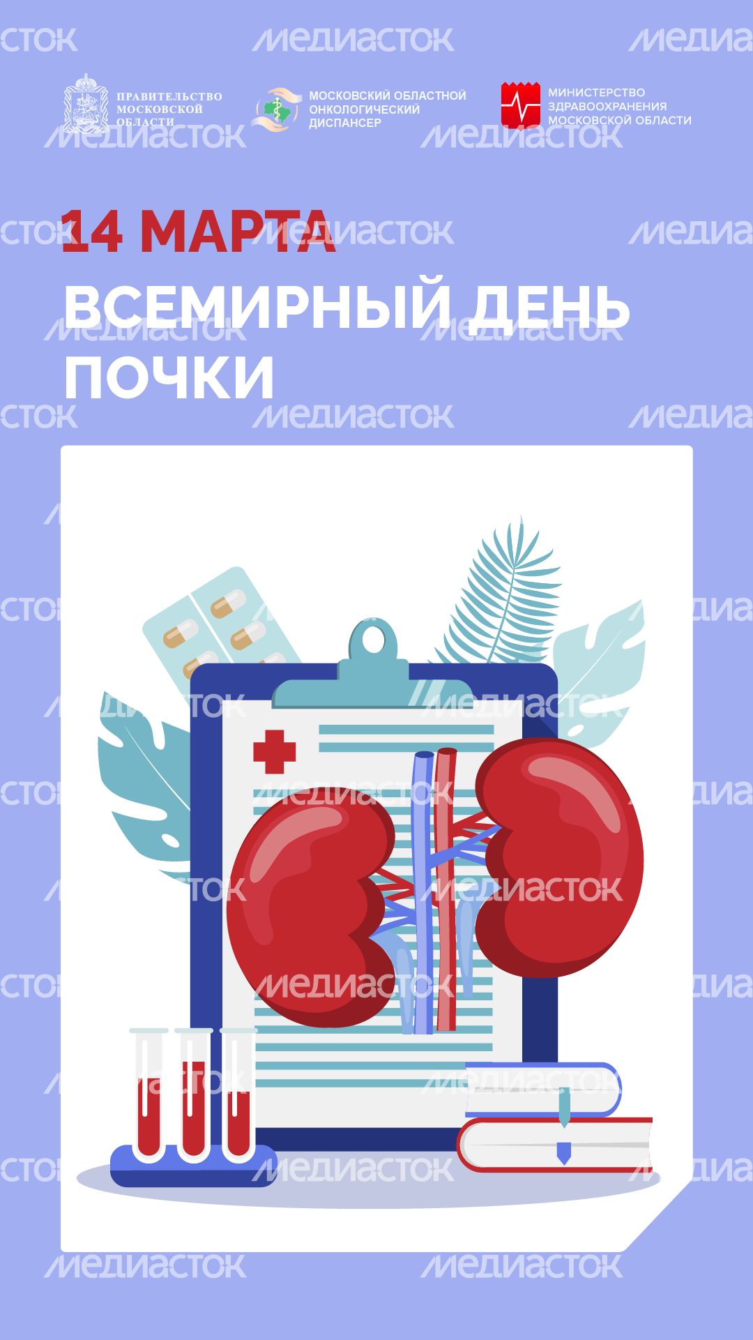14 марта всемирный день почки-вертикаль