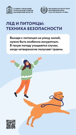 помощь усатым - вертикаль - 03