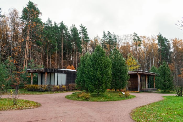 Осенний Мещерский парк в Одинцовском округе