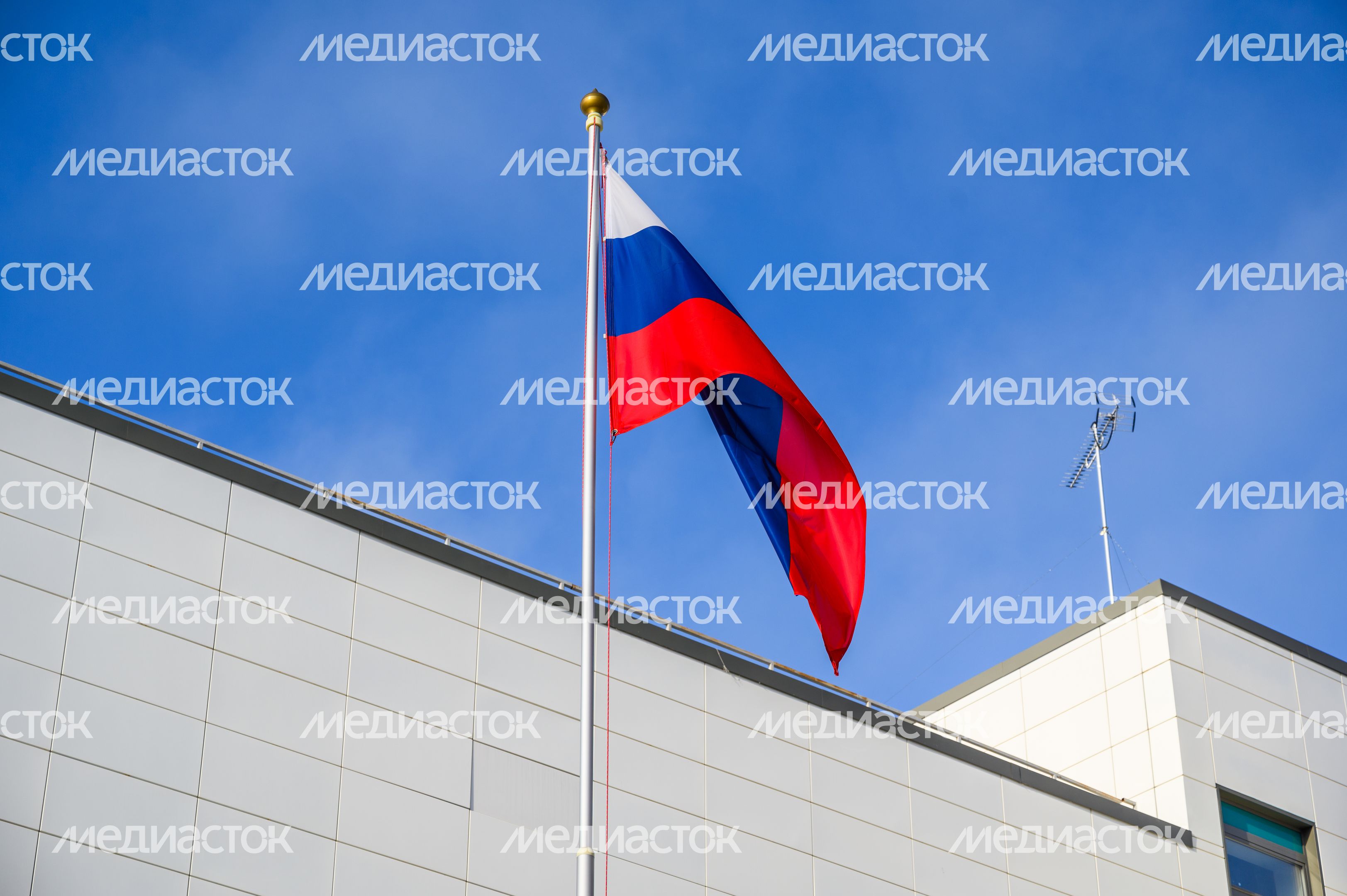 Новая средняя школа №21 в мкр. Зубачево в Сергиевом Посаде Новая средняя школа №21 в мкр. Зубачево в Сергиевом Посаде