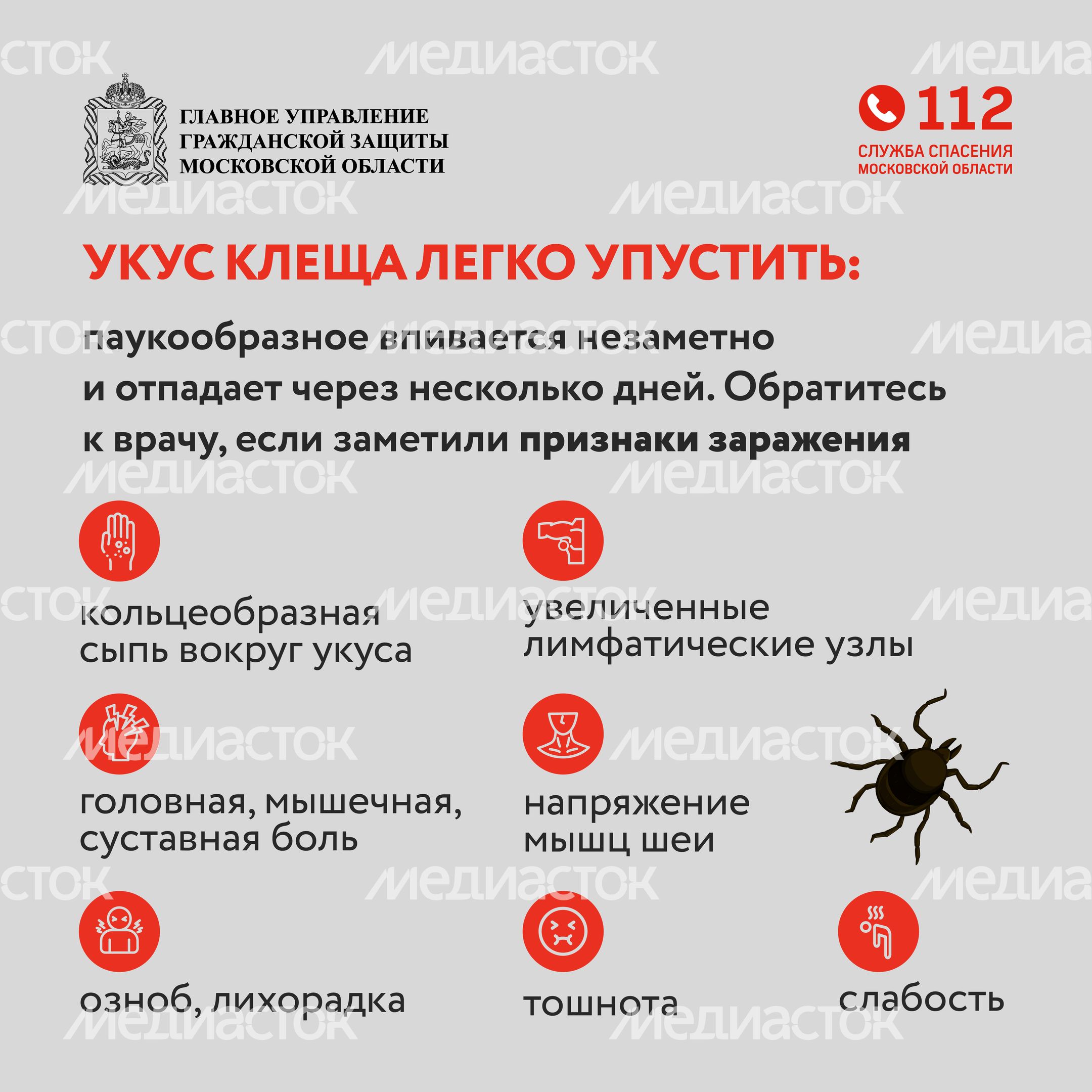 клещи_квадрат_07