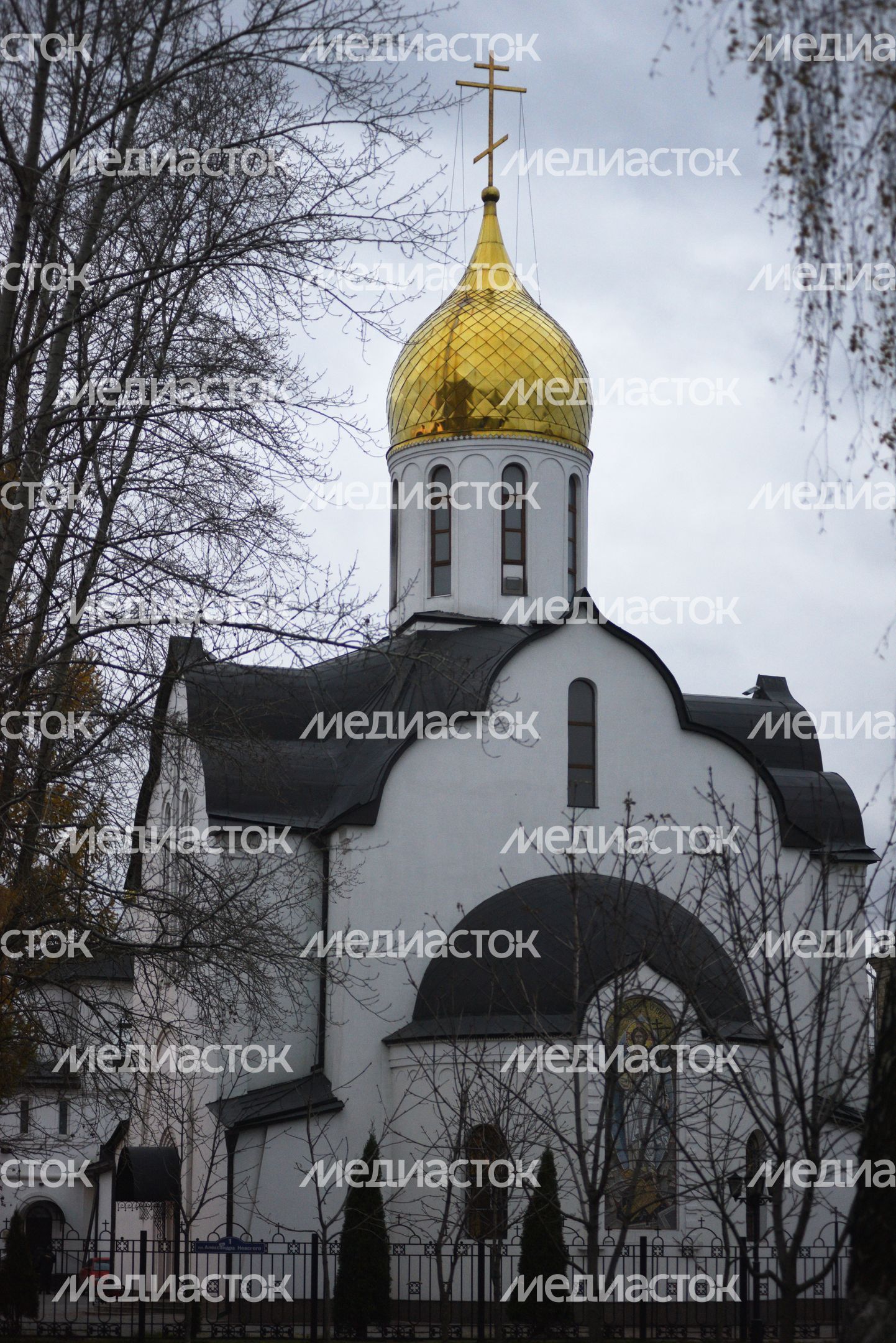Храм Александра Невского в Балашихе