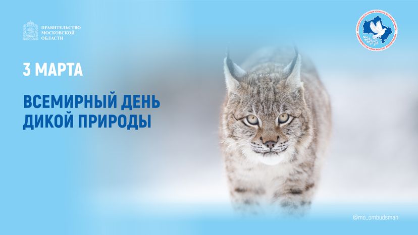 открытка-3 марта-горизонталь-01