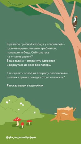 Вертикаль грибы 02.jpg