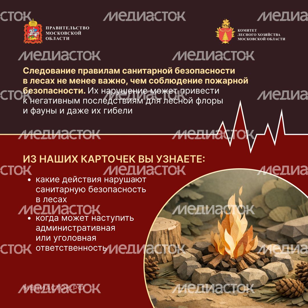 Санитарная безопасность в лесах квадрат 02 Санитарная безопасность в лесах квадрат 02