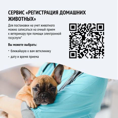 Зарегистрировать домашнее животное ред 2-квадрат-06.png