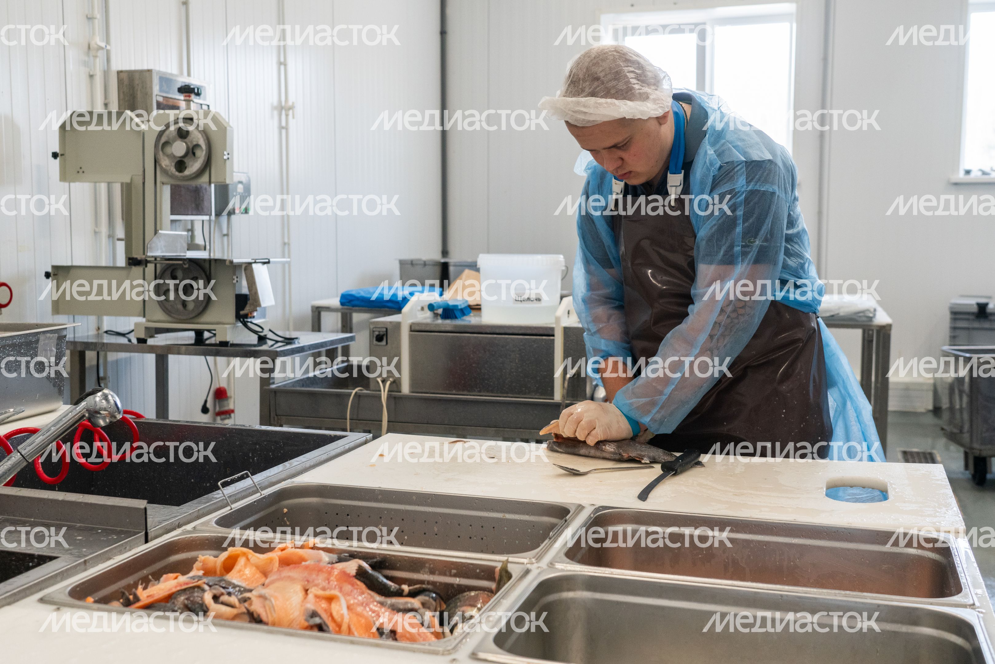 Мансуровское рыбоводное хозяйство под Истрой Мансуровское рыбоводное хозяйство под Истрой
