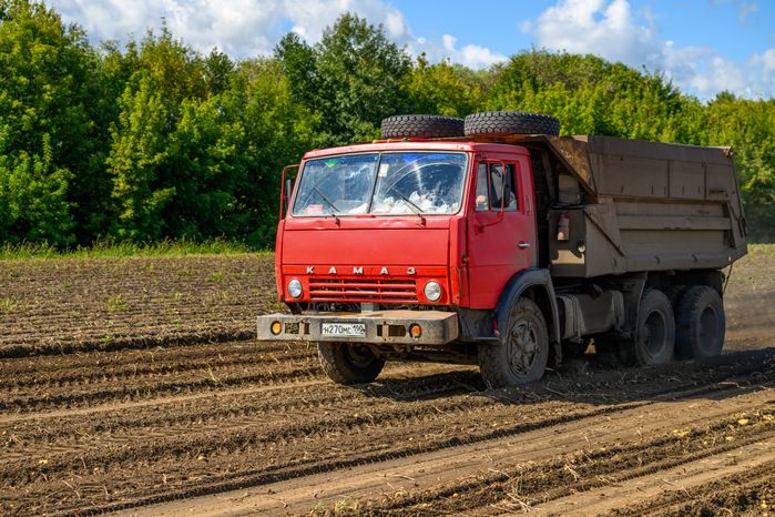 Уборка урожая картофеля в округе Коломна