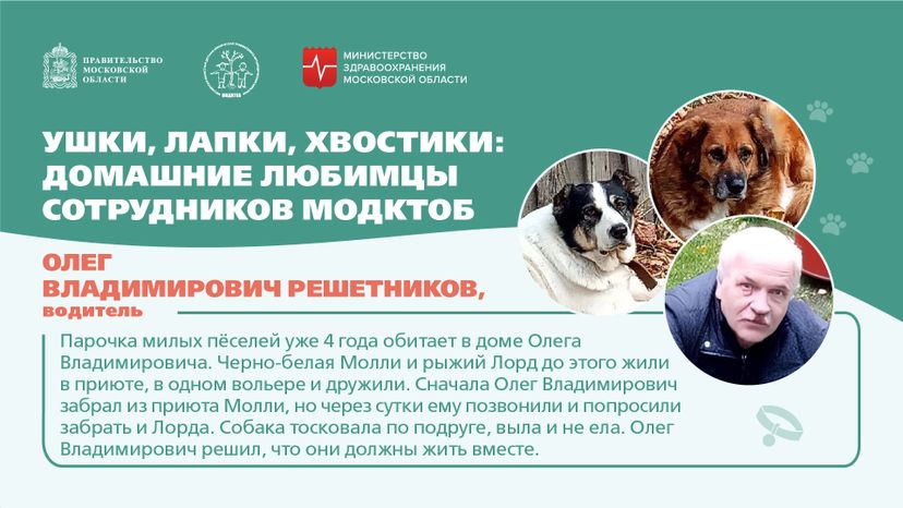 Ушки, лапки, хвостики горизонталь 07