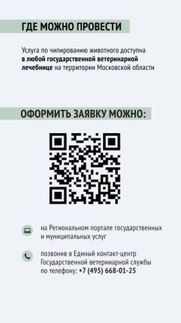 Чипирование-06.jpg