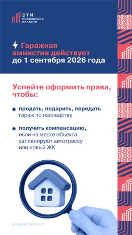Гаражная амнистия 2026 вертикаль 03