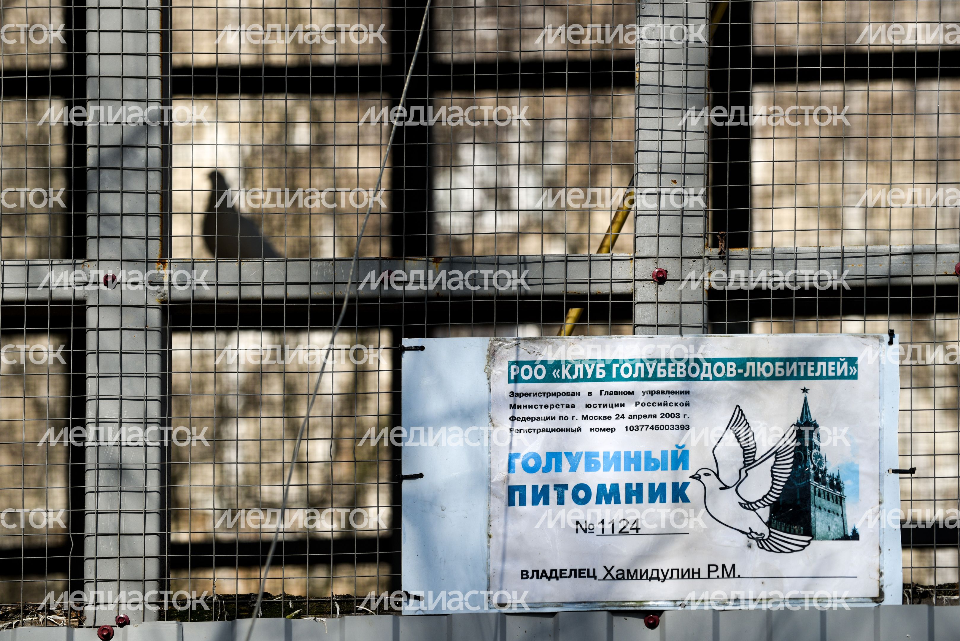 Голубятня в Москве