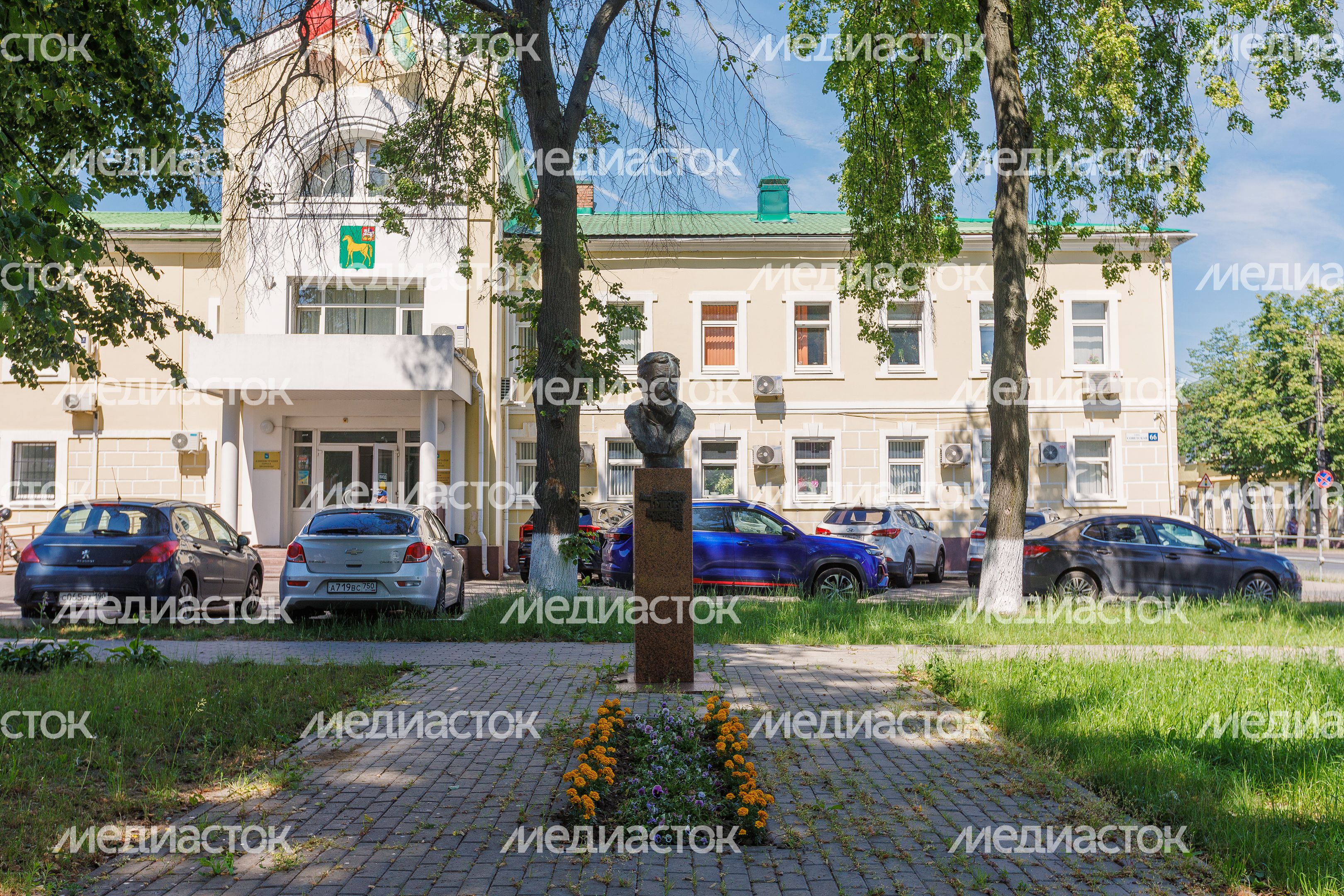 Бюст А.А. Пушкина у администрации города Бронницы Бюст А.А. Пушкина у администрации города Бронницы