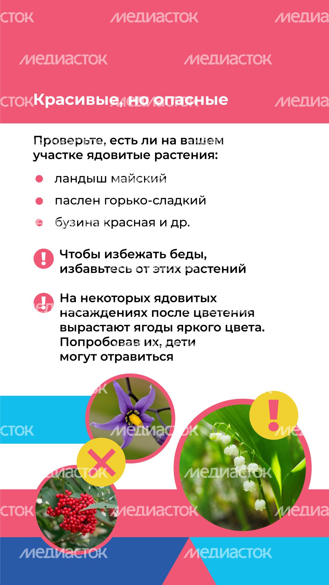 Отдых на даче с детьми вертикаль (7).png