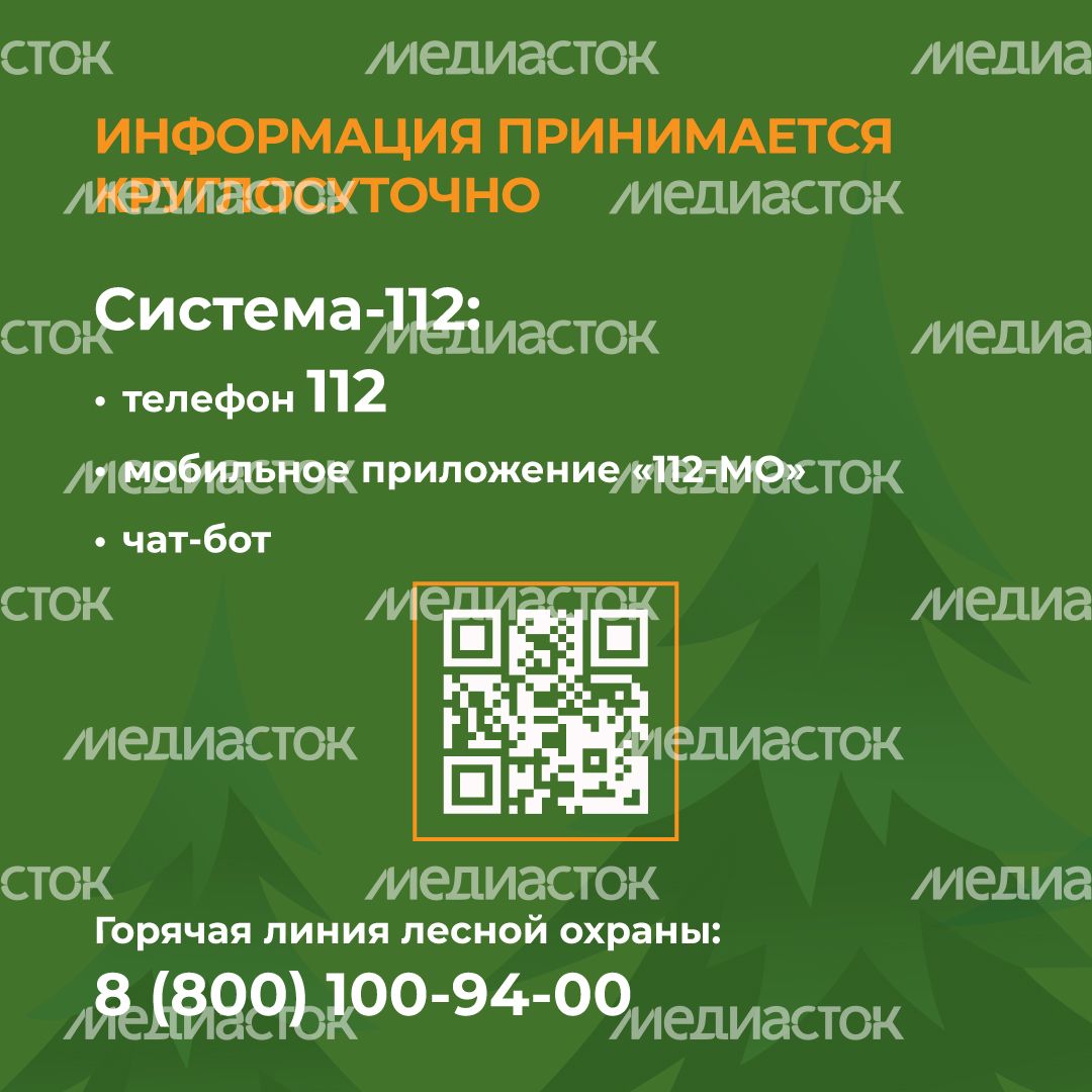 комлесхоз_костер_кв_8.jpg