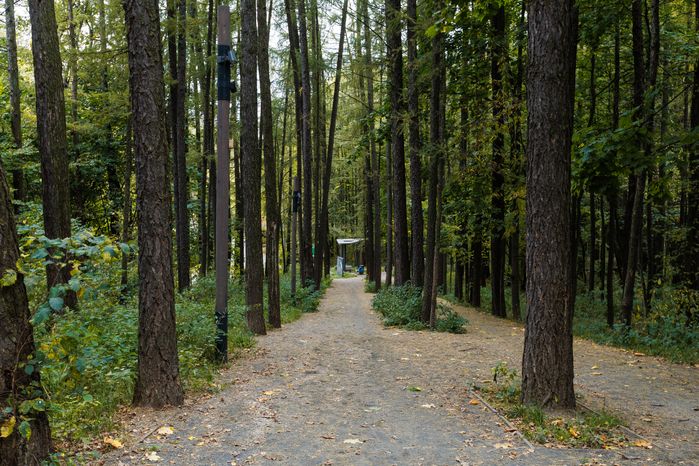 Осенний Химкинский лесопарк